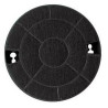 Filtre charbon actif pour hottes aspirantes 193 mm 481249038013