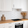 HOTTE ASPIRANTE TÉLESCOPIQUE CATA TFH 6830 GWH BLANCHE 60 cm A+++ 02010101