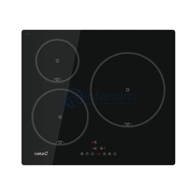 PLAQUE INDUCTION CATA IB-6303 E2 08063120