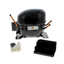 Compresseur réfrigérateur gaz R600A TT1117Y 198W (1/4+ CV) 9.00CC C00496005