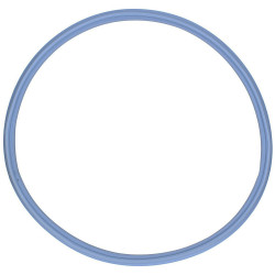 JUNTA PUERTA SECADORA HAIER 49053320