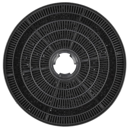 FILTRO DE CARBÓN ACTIVO PARA CAMPANA CANDY 35602061