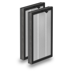 FILTRE À PARTICULES POUR PURIFICATEUR D'AIR ROWENTA ECLIPSE 2 EN 1 XD6520F0