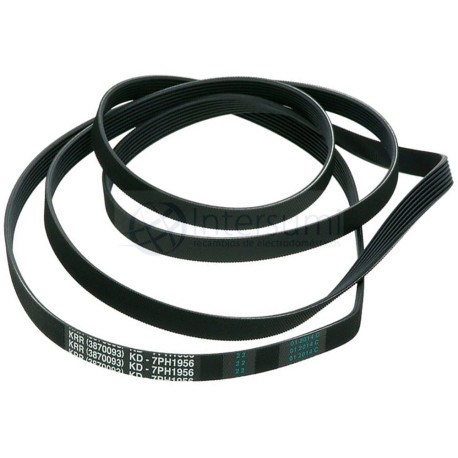 CORREA LAVADORA UNIVERSAL, 1956H7. 2962470100