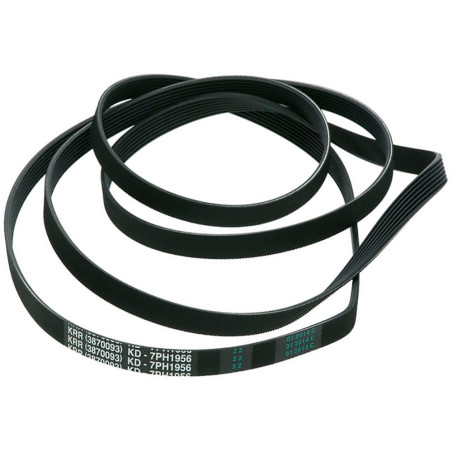 CORREA LAVADORA UNIVERSAL, 1956H7. 2962470100