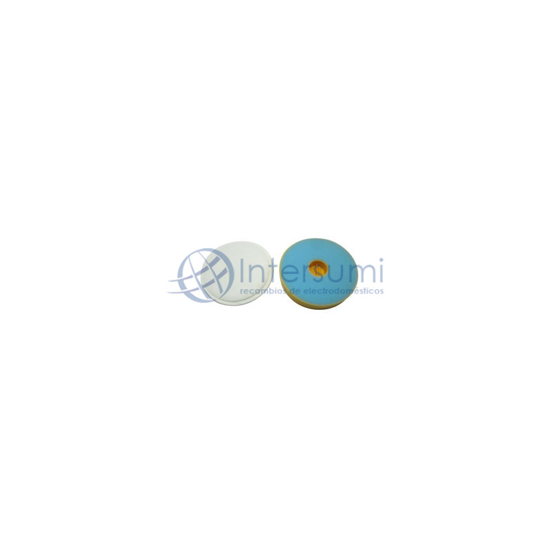 Pack de 2 filtres Dyson europarts 49DY0216A 0243A