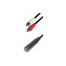 Câble 2 RCA m - Jack f 6,3 st 0,2m A43