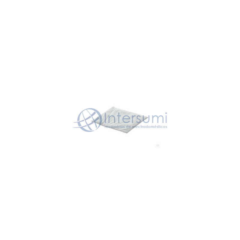 Filtre sortie moteur 49OO1166
