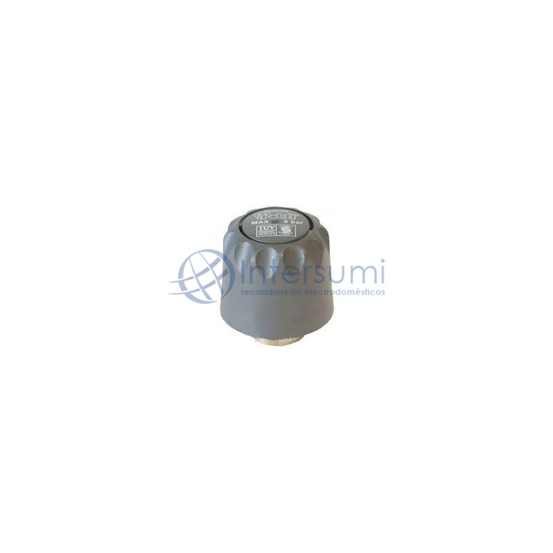 Bouchon centrale vapeur Polti SLDB0185