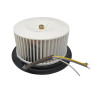 Moteur hotte Teka gauche 220V. 135W 60905049