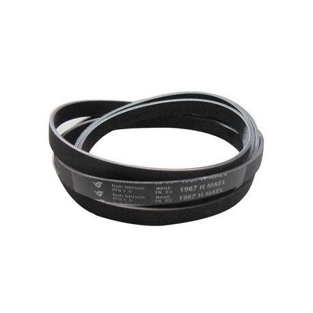 Correa 376900036 Nº1701141 -7L ARI-095613