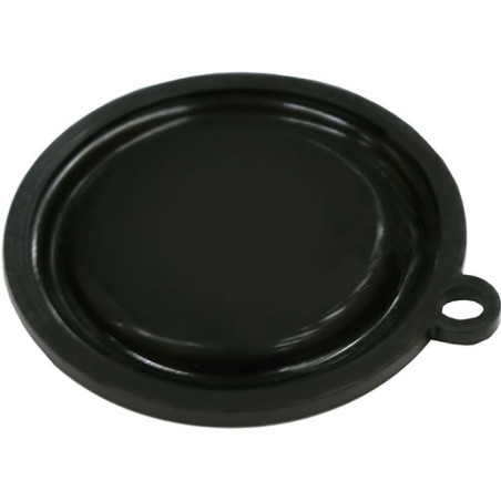 MEMBRANA CALENTADOR COINTRA 10 LITROS V398C0220