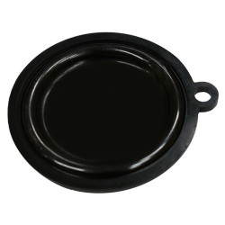 MEMBRANA CALENTADOR COINTRA 10 LITROS V398C0220